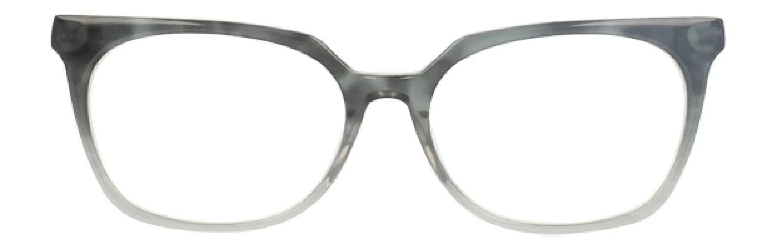 Trina Turk TTJOYA Eyeglasses - view 8